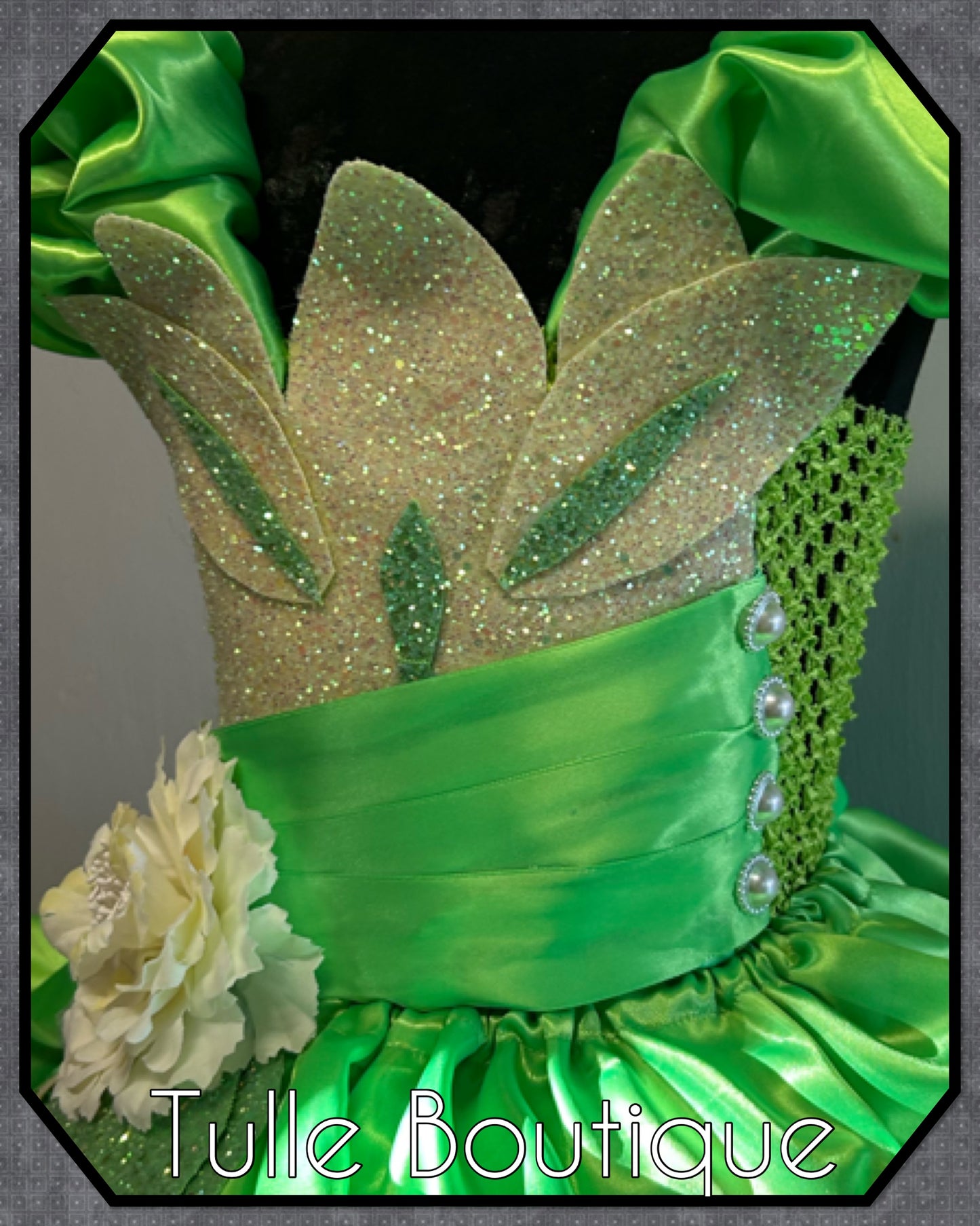 Girls Princess Tiana full length ballgown princess and the frog tutu dress