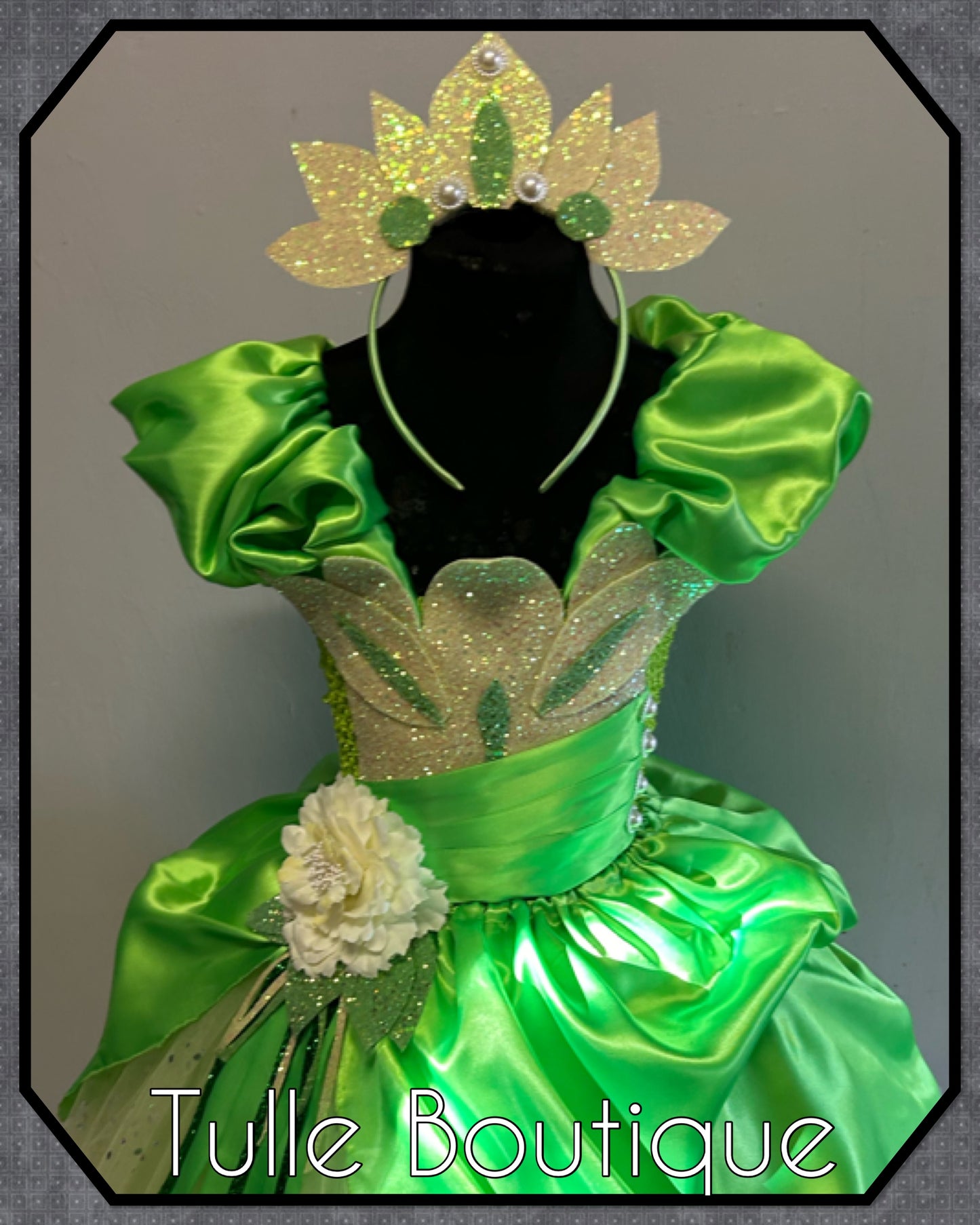 Girls Princess Tiana full length ballgown princess and the frog tutu dress
