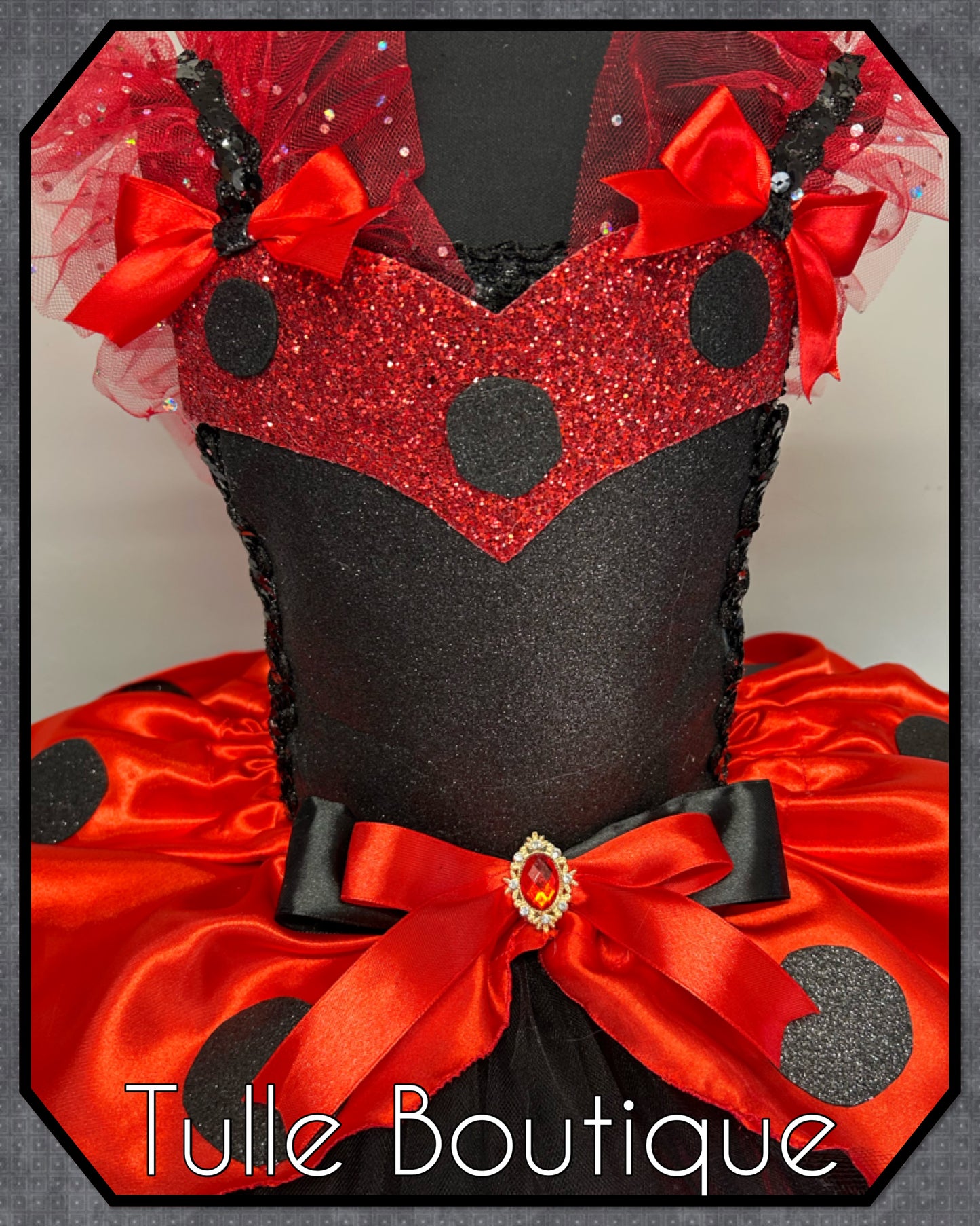 Girls toddlers Ladybug tutu dress ladybird costume