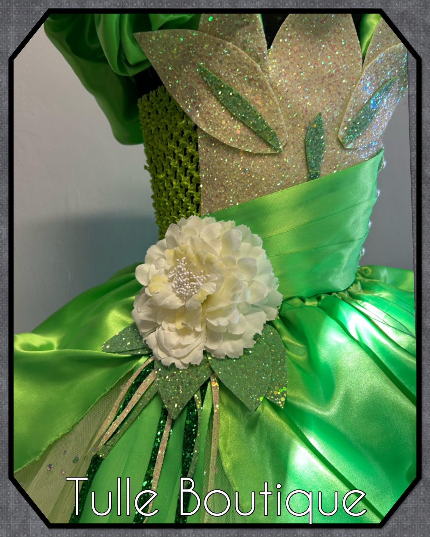 Girls Princess Tiana full length ballgown princess and the frog tutu dress