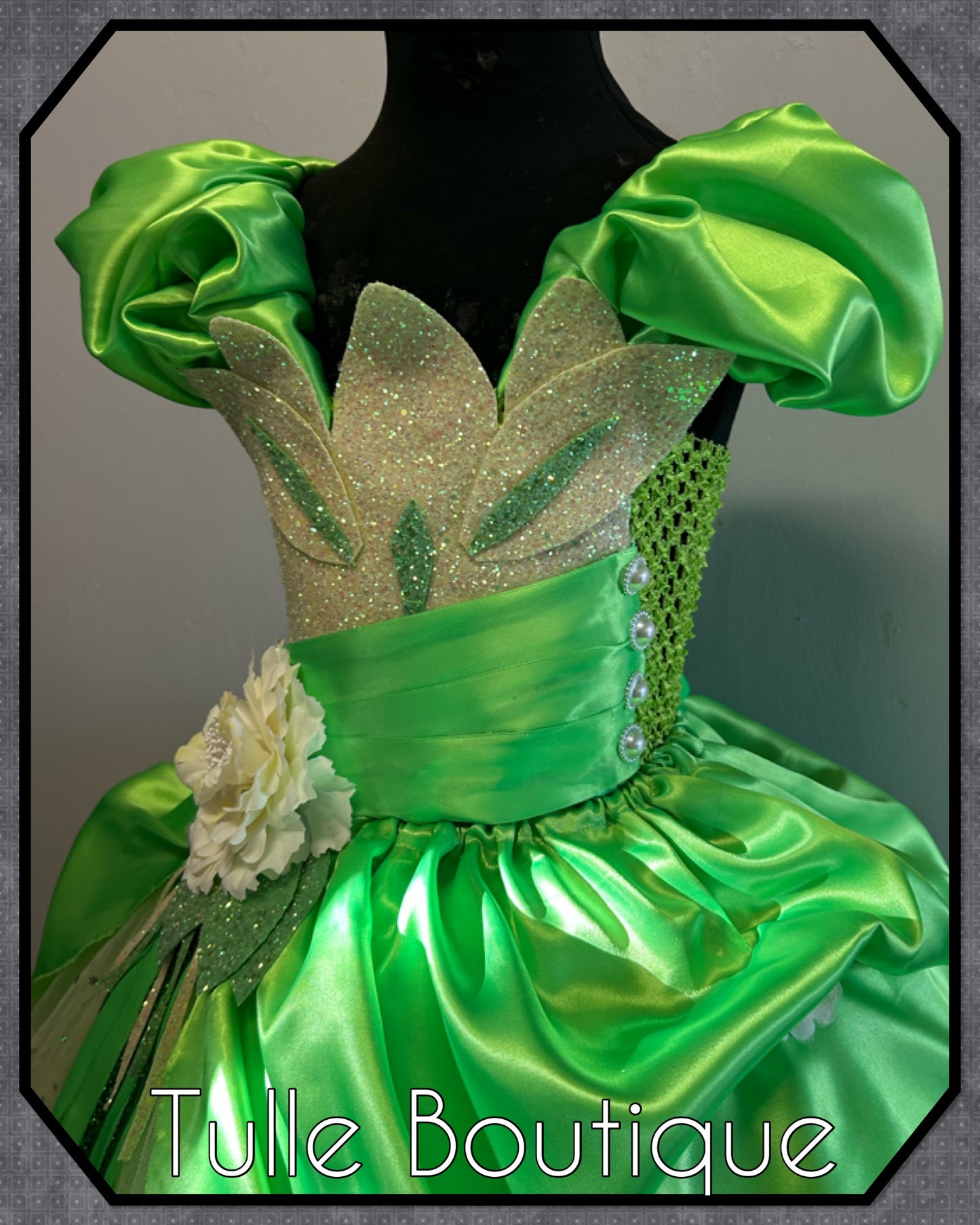 Girls Princess Tiana full length ballgown princess and the frog tutu dress