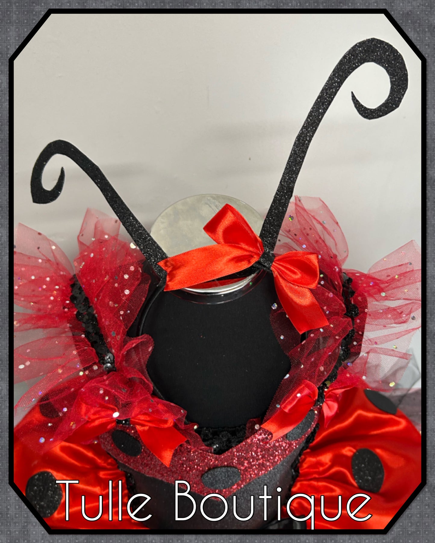 Girls toddlers Ladybug tutu dress ladybird costume