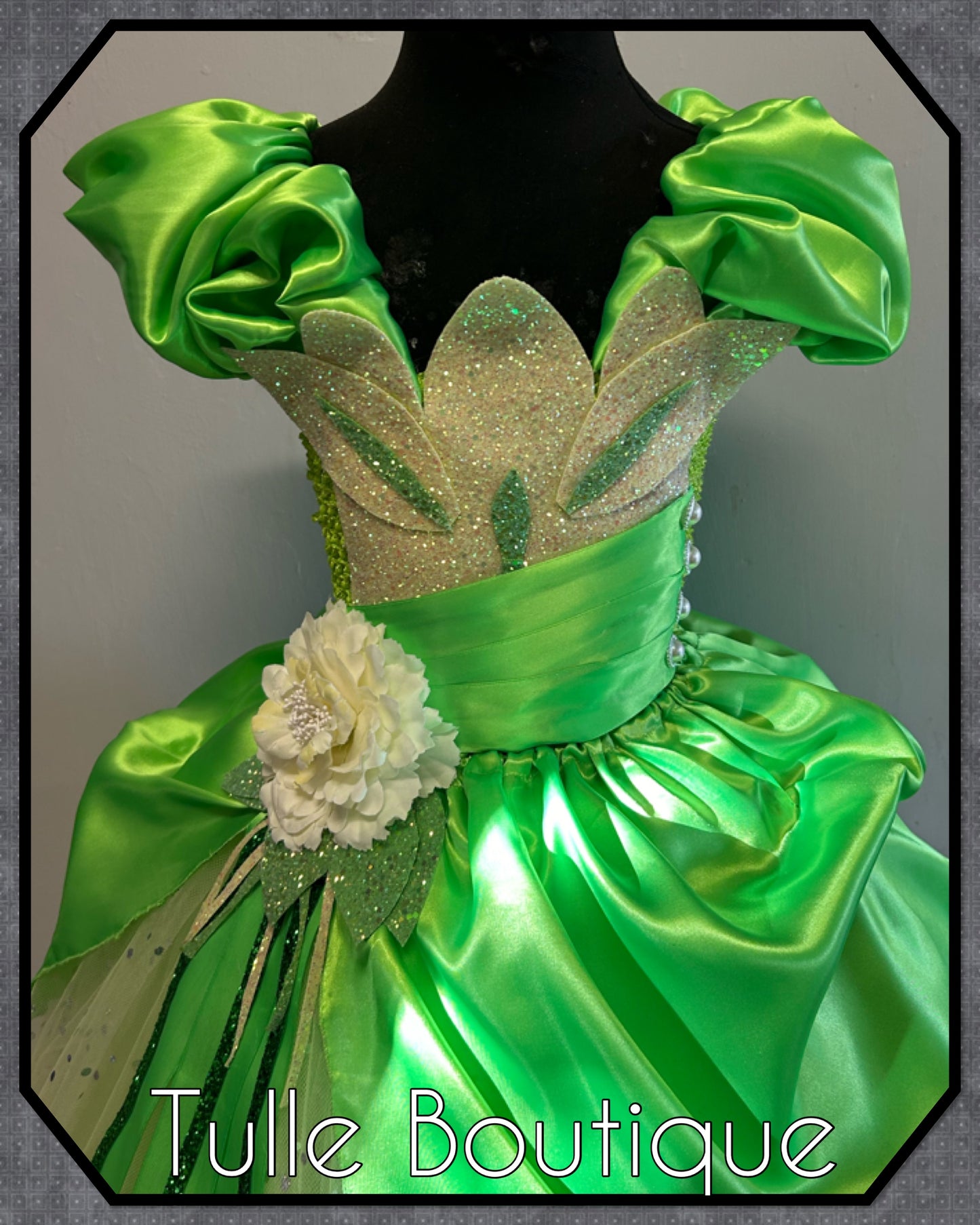 Girls Princess Tiana full length ballgown princess and the frog tutu dress