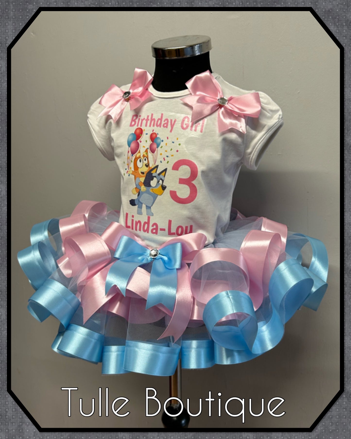 Girls Toddlers Bluey birthday party outfit dress