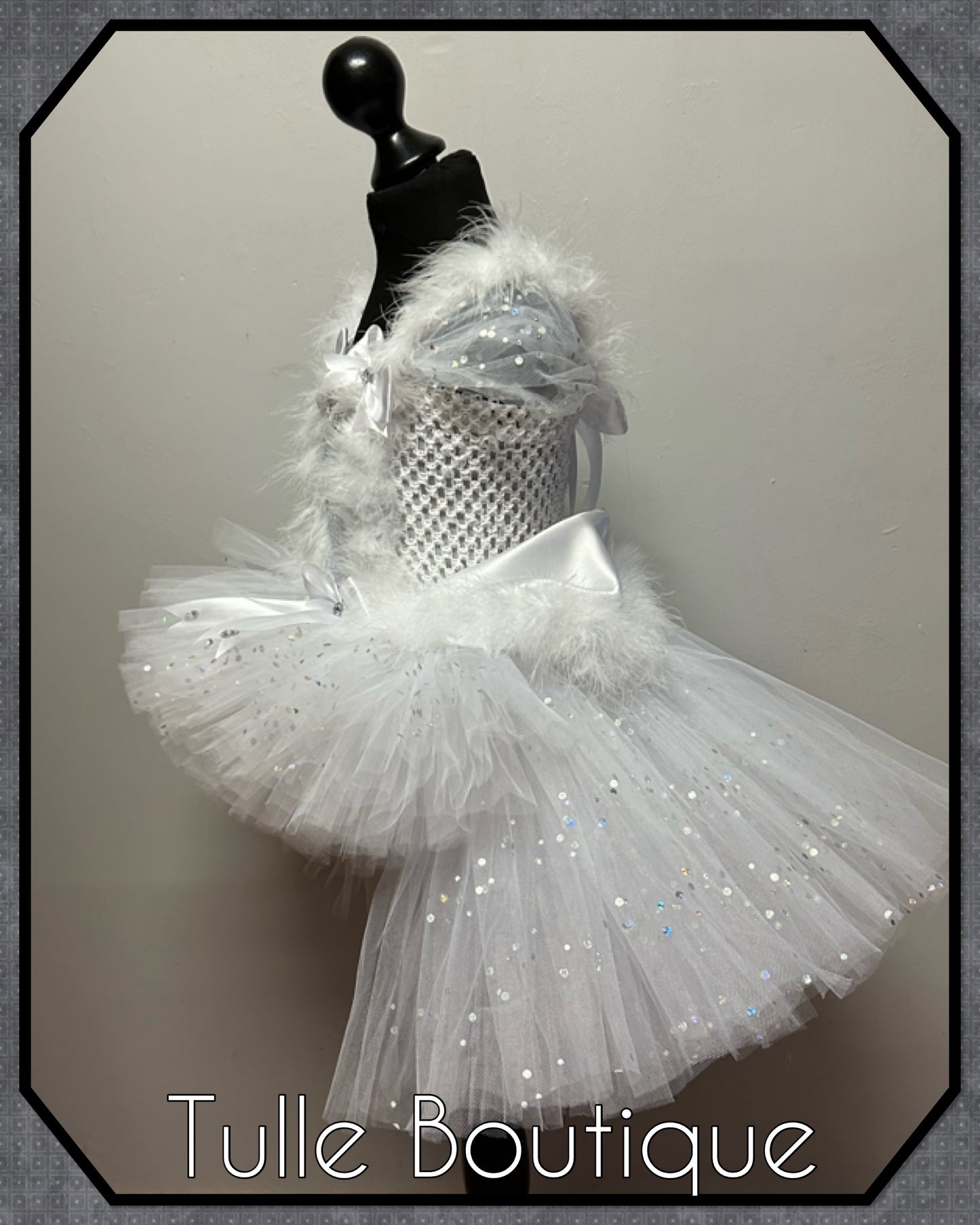 LEAH. Winter Wonderland Ice queen princess tutu dress with longer back.