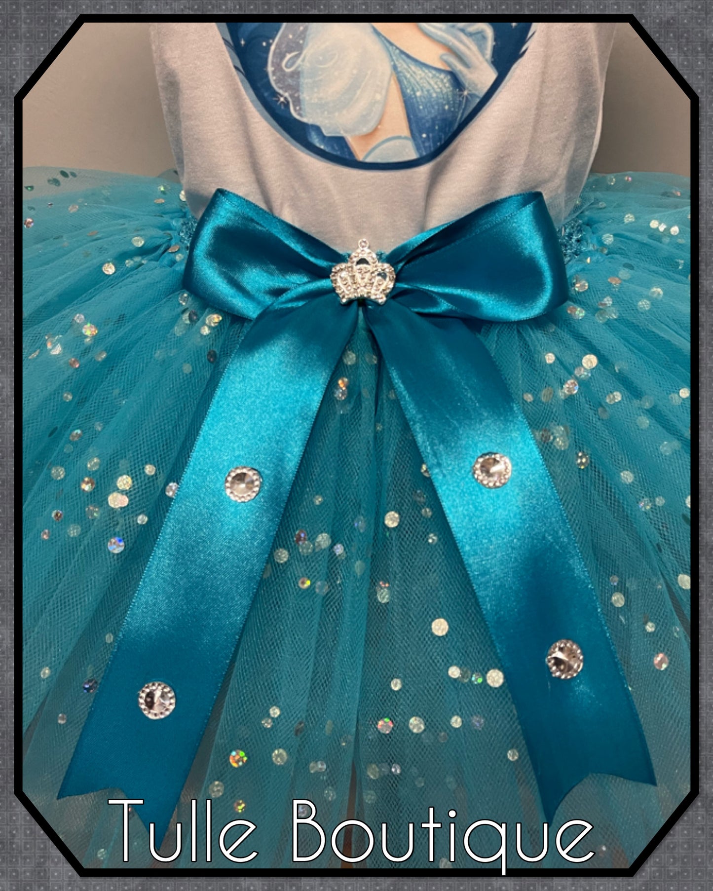 Girls Cinderella birthday party tutu and T-shirt fancy party outfit