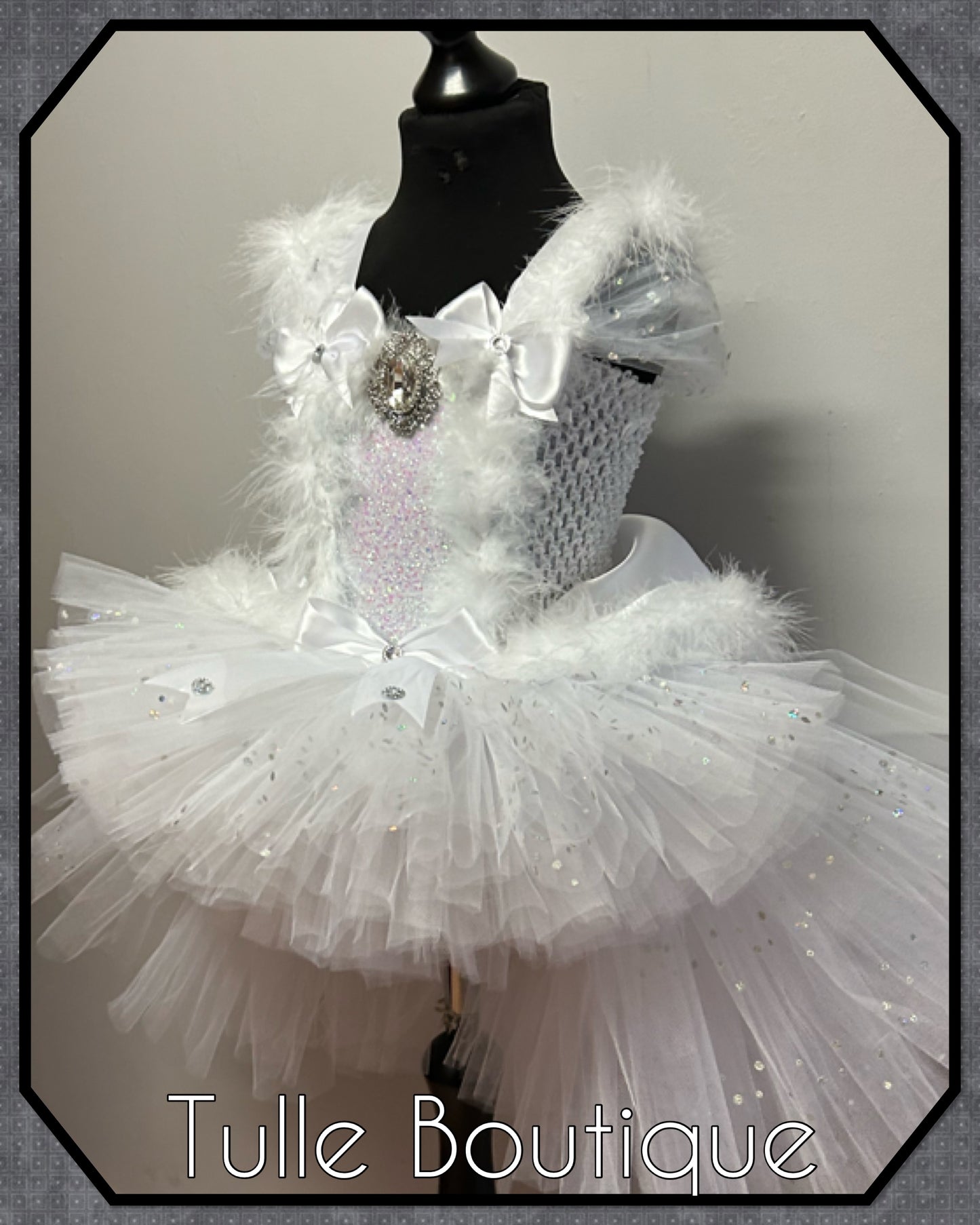 LEAH. Winter Wonderland Ice queen princess tutu dress with longer back.